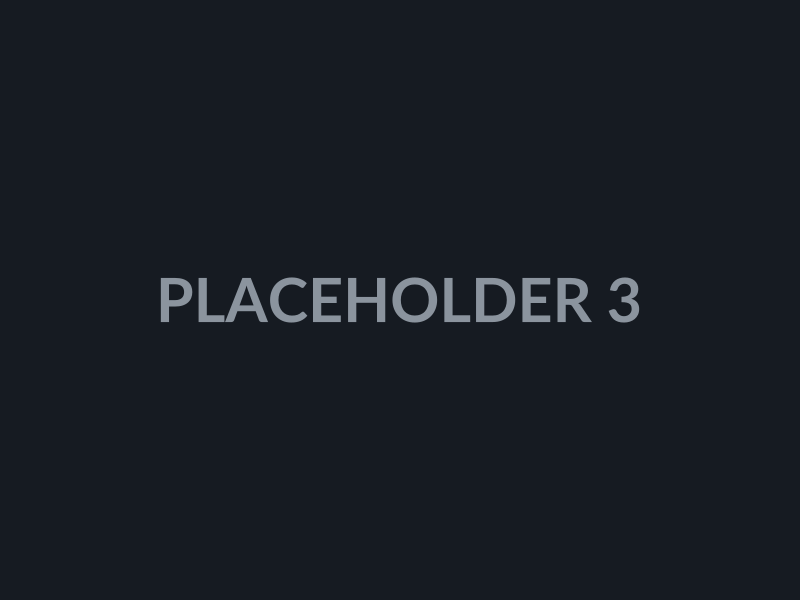 Placeholder 3